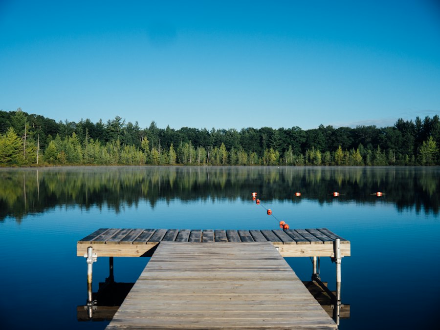 Lake and forest landscape in New Hampshire — service area vibe